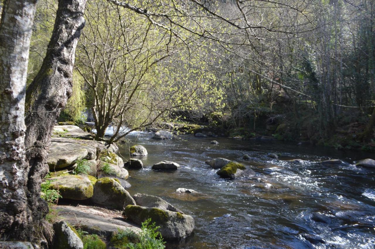 Las Palmeras Caldas De Reis Exteriör bild